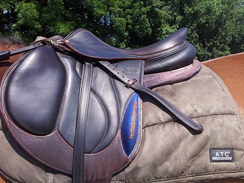 20130708_131839_resized_1 20130708_131839_resized_1