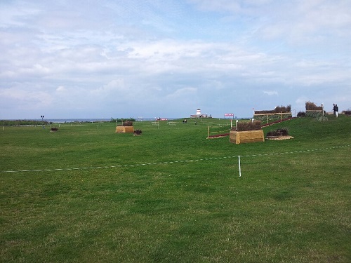 20130830_124003_resized 20130830_124003_resized