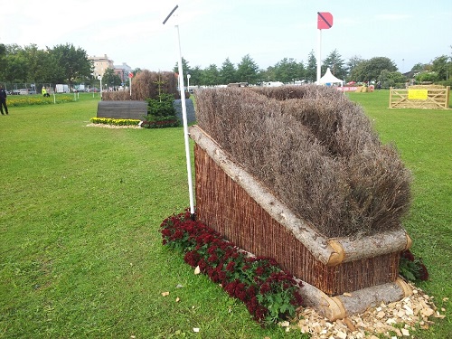 20130831_094126_resized 20130831_094126_resized