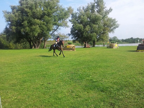 20130831_103927_resized 20130831_103927_resized