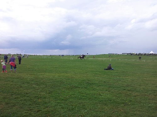 20130831_141504_resized 20130831_141504_resized