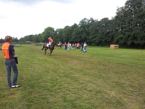 20130903_170058_resized 20130903_170058_resized