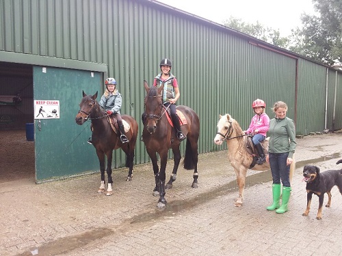 20130914_114816_resized 20130914_114816_resized