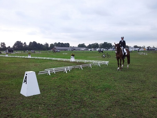 20130921_105049_resized 20130921_105049_resized