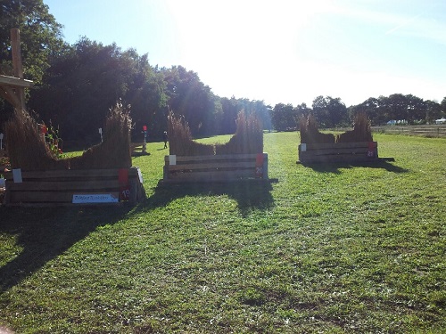 20130927_163556_resized 20130927_163556_resized