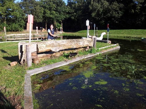 20130927_164010_resized 20130927_164010_resized