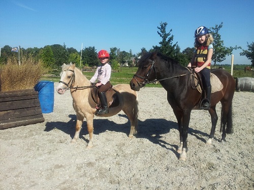 20130928_140912_resized 20130928_140912_resized