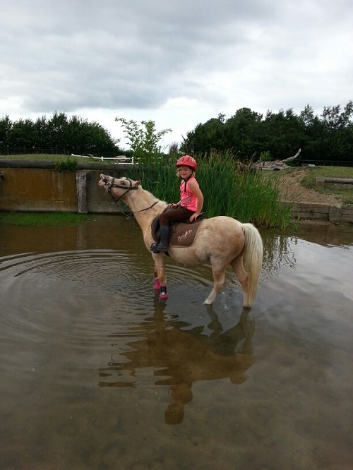 IMG-20130903-WA0004 IMG-20130903-WA0004