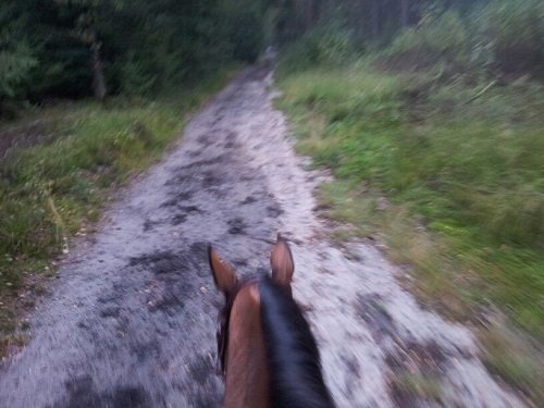 20131005_082439_resized_1 20131005_082439_resized_1