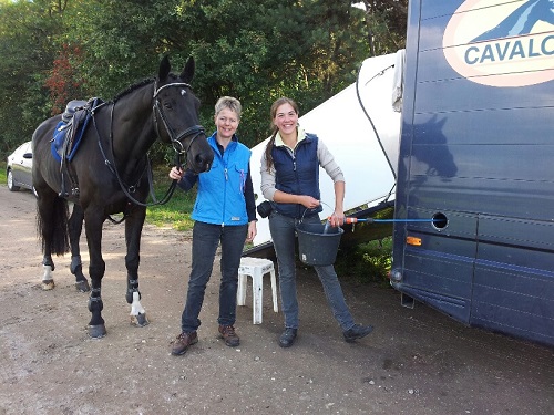 20131006_133715_resized 20131006_133715_resized