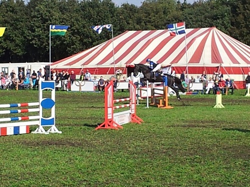 20131006_135713_resized 20131006_135713_resized