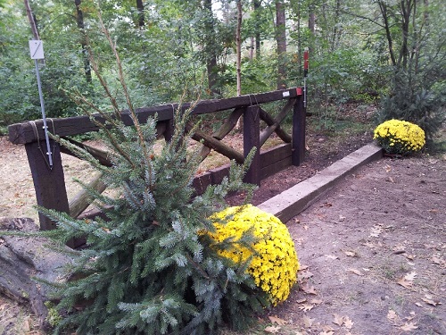 20131006_152244_resized 20131006_152244_resized