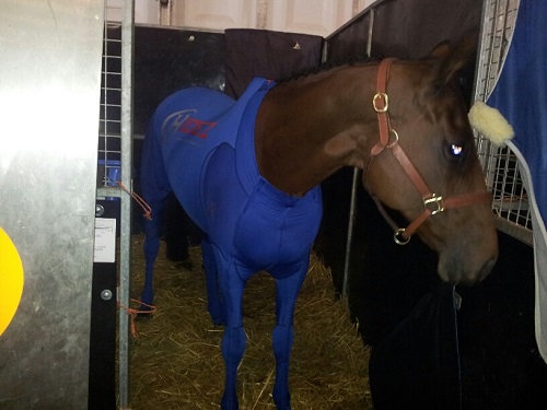 20131013_121333_resized