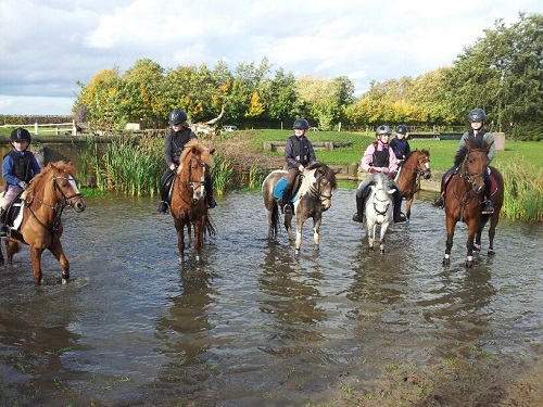 20131023_153904_resized 20131023_153904_resized