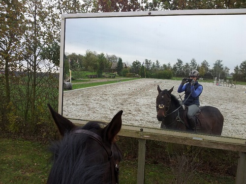 20131105_111722_resized_1 20131105_111722_resized_1