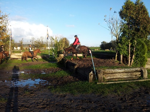 20131110_154631_resized 20131110_154631_resized