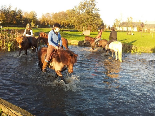 20131110_155700_resized 20131110_155700_resized