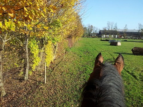 20131113_113810_resized