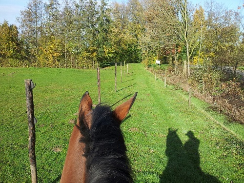 20131113_113936_resized