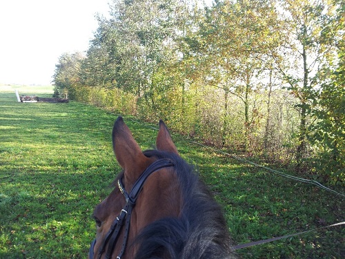 20131113_114725_resized