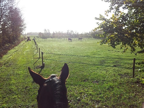 20131115_112838_resized