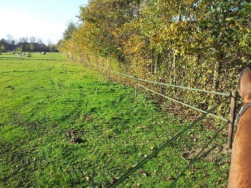 20131115_112859_resized_1