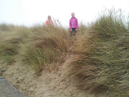 20131117_124101_resized