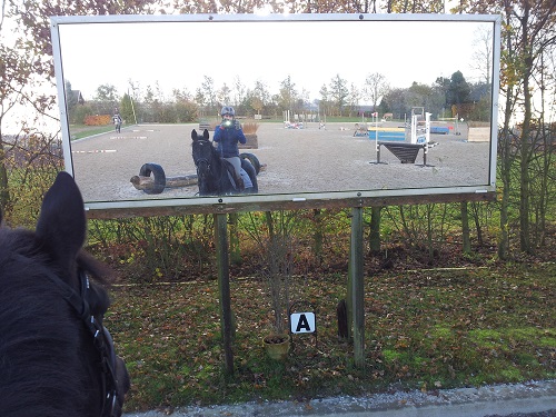 IMG-20131120-WA0002 IMG-20131120-WA0002