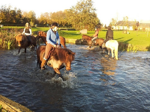 20131110_155700_resized 20131110_155700_resized