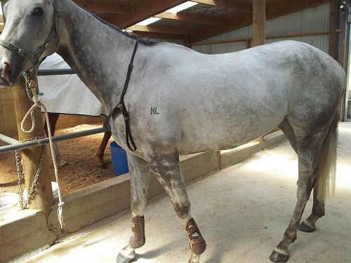 20140118_031621_resized 20140118_031621_resized