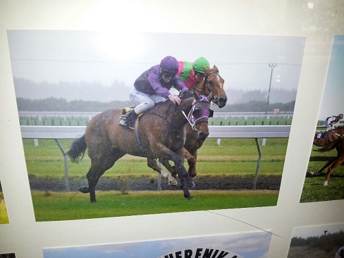 20140119_001419_resized 20140119_001419_resized