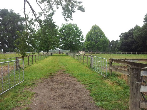 20140120_004427_resized 20140120_004427_resized