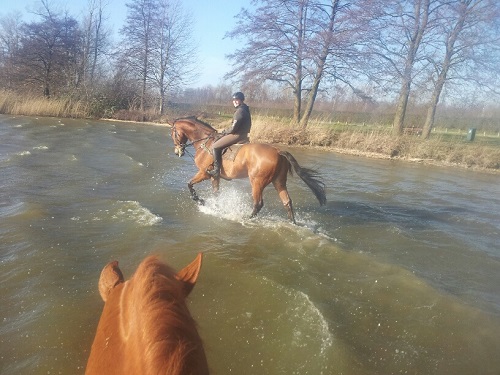 20140205_113757_resized 20140205_113757_resized