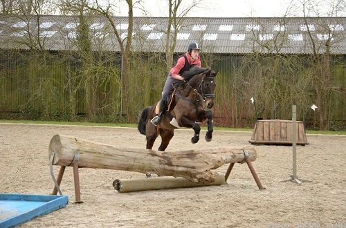 1013303_10201443099502721_1196741744_n 1013303_10201443099502721_1196741744_n