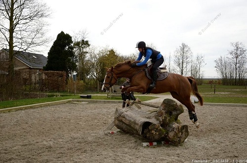 1779294_10201443107942932_666353436_n 1779294_10201443107942932_666353436_n