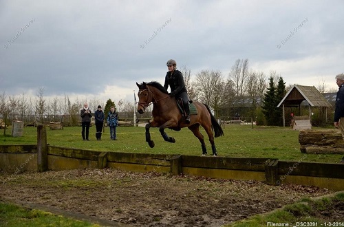 1926658_10201443104742852_1626904870_n 1926658_10201443104742852_1626904870_n