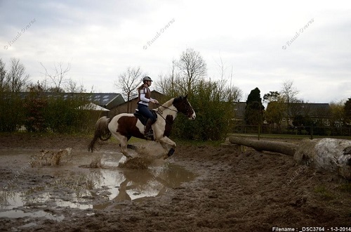 1932199_10201443117783178_2015338905_n 1932199_10201443117783178_2015338905_n