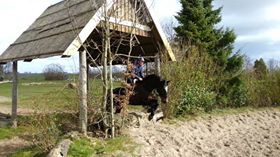 1974985_714018528649344_1809593467_n 1974985_714018528649344_1809593467_n