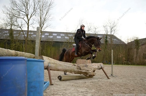 1978757_10201443109542972_2115794089_n 1978757_10201443109542972_2115794089_n