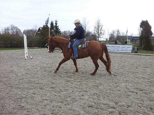 20140301_121003_resized 20140301_121003_resized