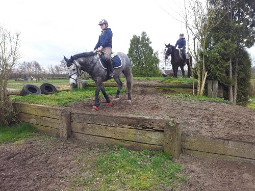 20140301_133906_resized 20140301_133906_resized