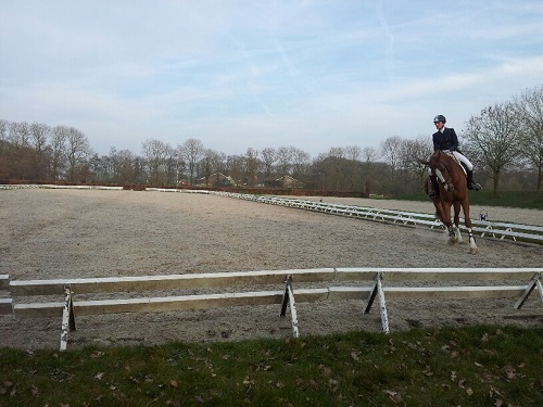 20140314_170136_resized 20140314_170136_resized