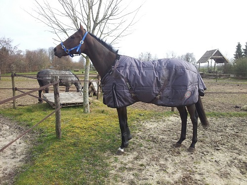 20140315_103941_resized 20140315_103941_resized