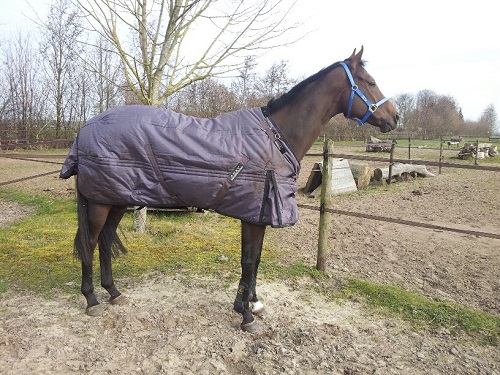 20140315_103957_resized 20140315_103957_resized