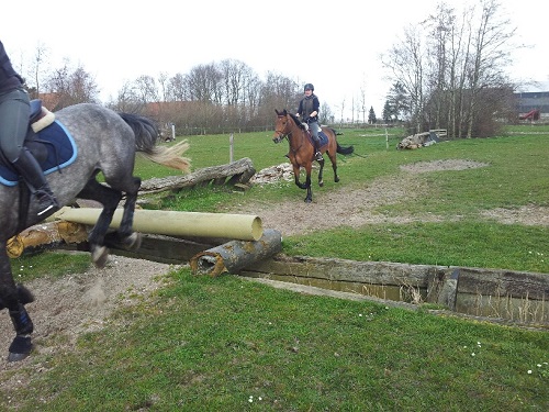 20140315_115910_resized 20140315_115910_resized