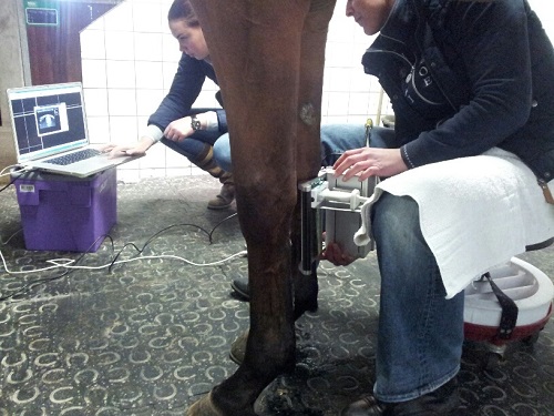 20140325_105100_resized_1 20140325_105100_resized_1