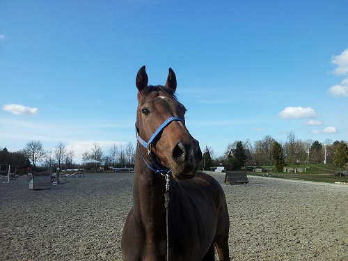 20140326_154300_resized 20140326_154300_resized