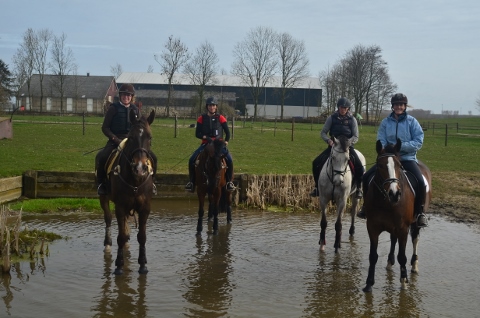 ABF_4922 (480x318) ABF_4922 (480x318)