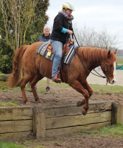 Annemarieke 2 Annemarieke 2