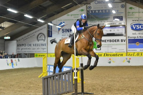 avondfleov (1) avondfleov (1)